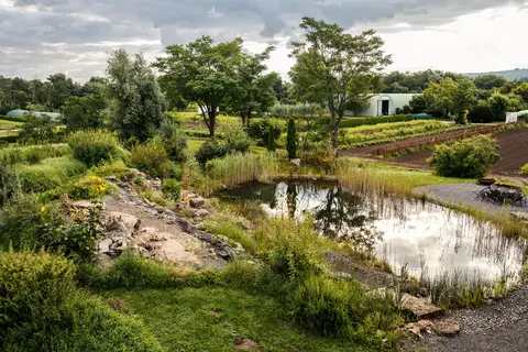 Teiche in Terra Medica