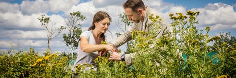 Mitarbeiter der DHU auf den Feldern von Terra Medica
