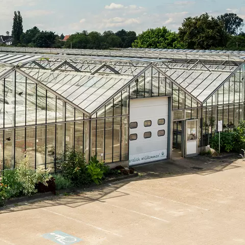 Die Gewächshäuser in Terra Medica