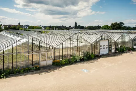 Die Gewächshäuser in Terra Medica