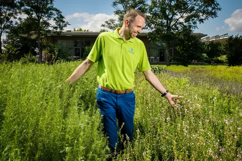 Mitarbeiter der DHU geht durch ein Feld