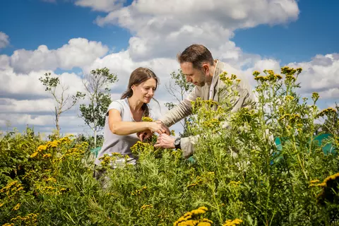 Mitarbeiter der DHU auf den Feldern von Terra Medica