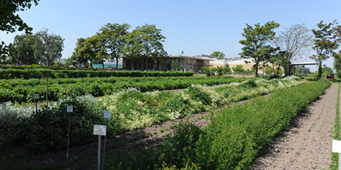 Anbau in Staffort