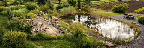 Teiche in Terra Medica